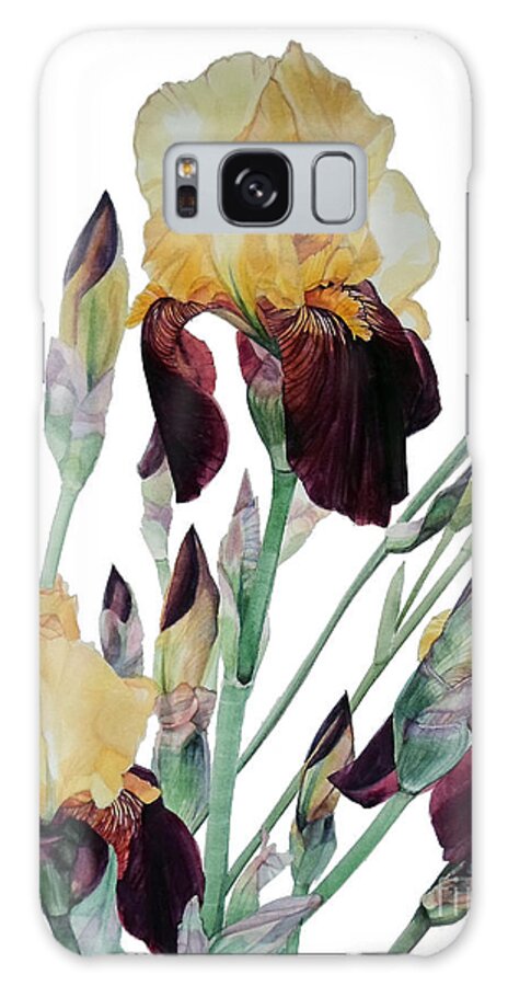 Watercolor Galaxy Case featuring the painting Watercolor of Tall Bearded Iris in Yellow and Maroon I call Iris Beethoven by Greta Corens