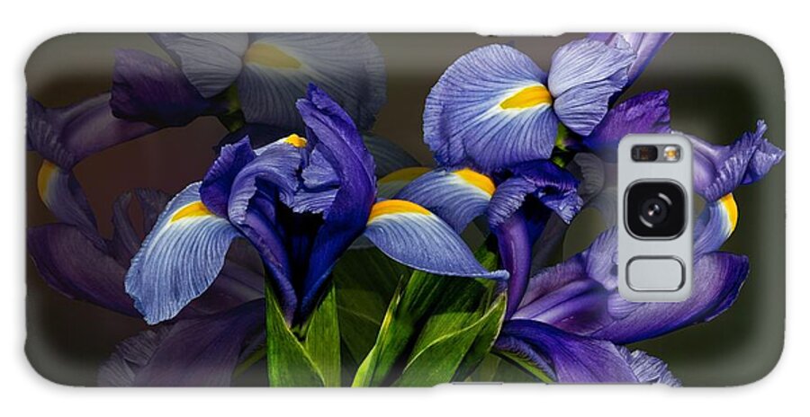 Flowers Galaxy Case featuring the photograph Iris Fantasy by Shirley Mangini