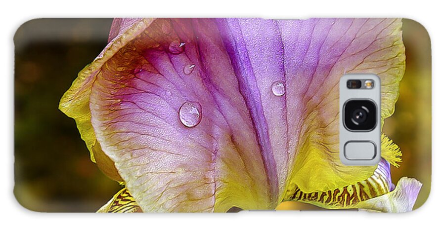 Flower Galaxy Case featuring the photograph Iris by Phil Clark