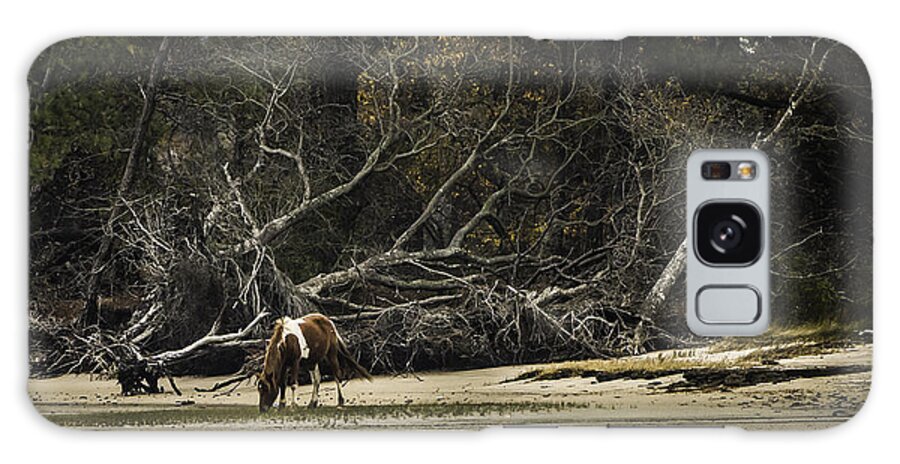 Autumn Galaxy S8 Case featuring the photograph Island Pony by Donald Brown