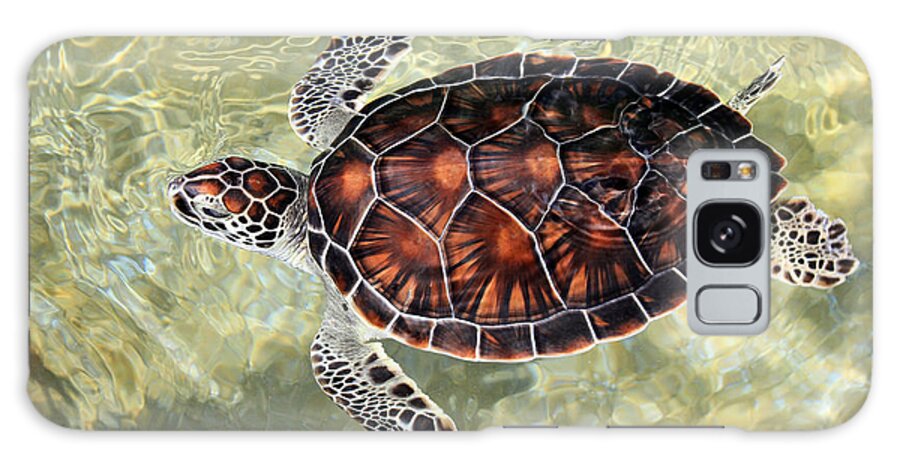 Turtle Galaxy Case featuring the photograph Island Turtle by Carey Chen
