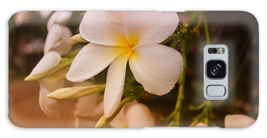 Frangipani Galaxy Case featuring the photograph Isle de Java by Miguel Winterpacht