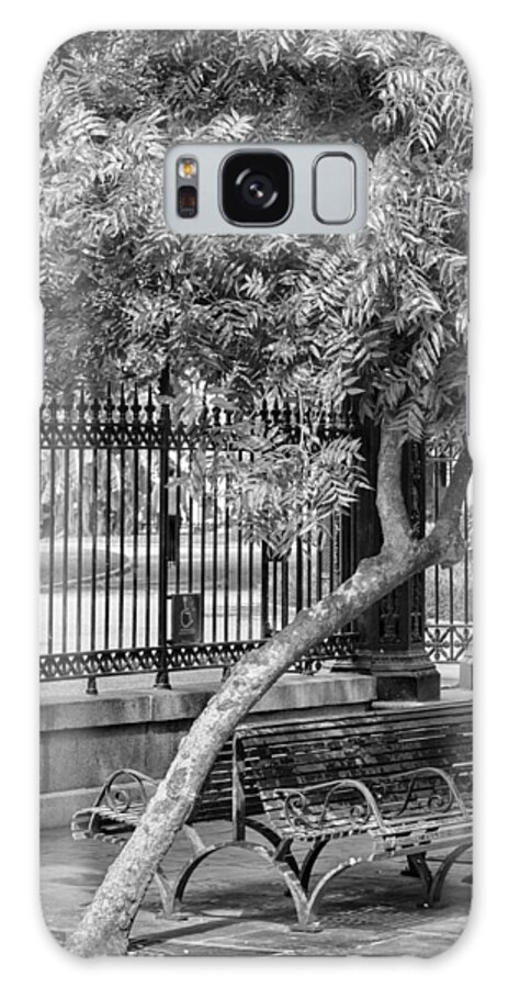 Bench Galaxy S8 Case featuring the photograph Jackson Square Bench And Tree by Jim Shackett