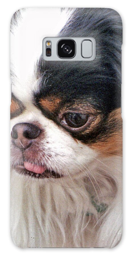 Japanese Chins Galaxy Case featuring the photograph Japanese Chin Dog Portrait by Jim Fitzpatrick
