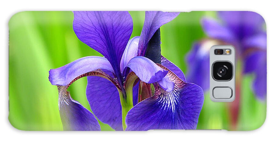 Beautiful Japanese Iris Galaxy Case featuring the photograph Japanese Iris by Kim Mobley by Kim Mobley