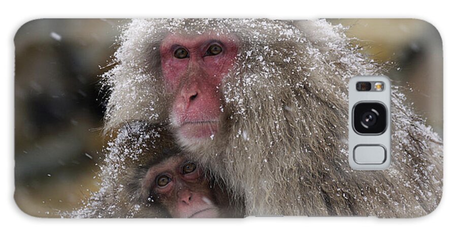 534262 Galaxy Case featuring the photograph Japanese Macaque And Baby In Snow Japan by Hiroya Minakuchi