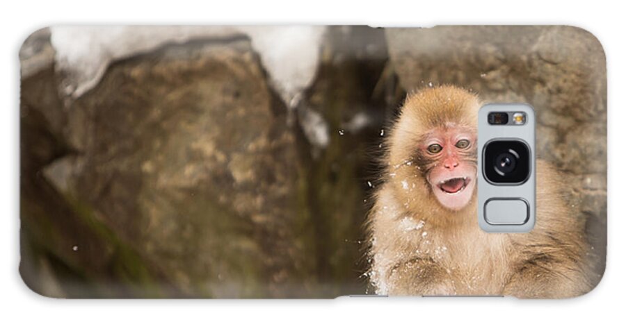 Macaque Galaxy Case featuring the photograph Japanese Macaque Baby at Yamanouci Japan by Natural Focal Point Photography