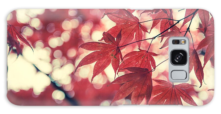 Autumn Galaxy Case featuring the photograph Japanese Maple Leaves - Vintage by Hannes Cmarits