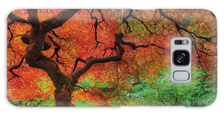 Portland Galaxy S8 Case featuring the photograph Japanese Maple Tree in Autumn by David Gn