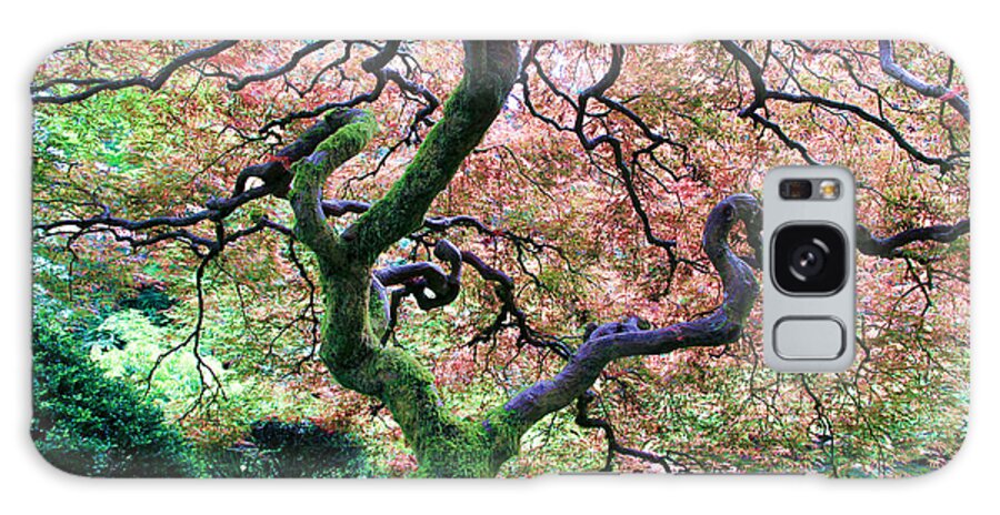 Japanese Maple Tree Galaxy S8 Case featuring the photograph Japanese Tree in Garden by Athena Mckinzie