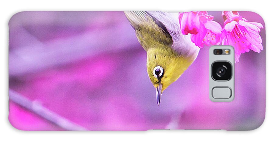 Taiwan Galaxy Case featuring the photograph Japanese White-eyes And Cheery Blossom by Bibi's Photography