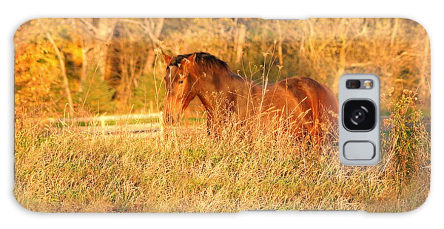 Horse Galaxy Case featuring the photograph Jonathan by Carol Lynn Coronios