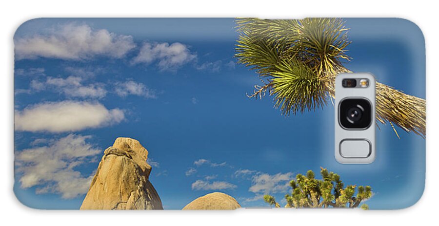 00559180 Galaxy Case featuring the photograph Joshua Tree Rocks And Sky by Yva Momatiuk John Eastcott