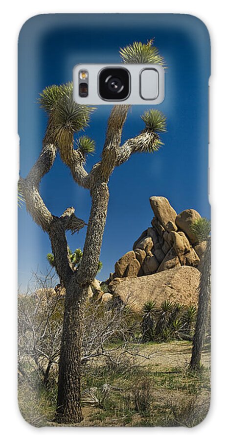 California Galaxy Case featuring the photograph California Joshua Trees in Joshua Tree National Park by the Mojave Desert by Randall Nyhof