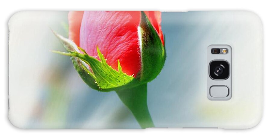 Rose Galaxy Case featuring the photograph Just A Bud by Judy Palkimas