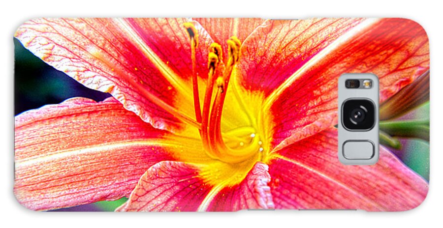 Lily's Photographs Galaxy Case featuring the photograph Just another Day Lilly by Mayhem Mediums