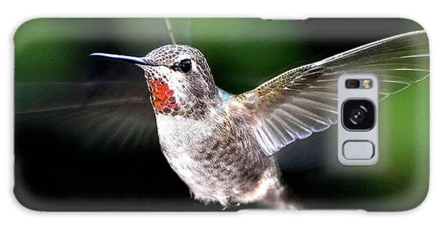 Female Galaxy S8 Case featuring the photograph Juvenile Red Thoated Hummingbird by Jay Milo