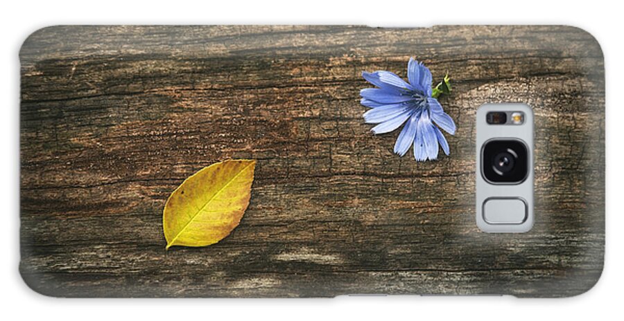 Flower Galaxy Case featuring the photograph Juxtaposition by Scott Norris