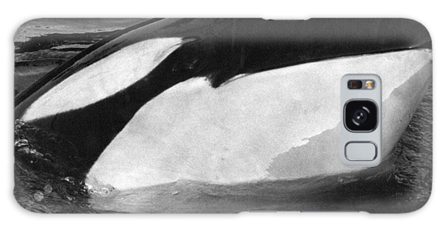 Kandu Galaxy Case featuring the photograph Kandu Orca Seattle Aquarium 1969 Pat Hathaway Photo killer whale Seattle by Monterey County Historical Society
