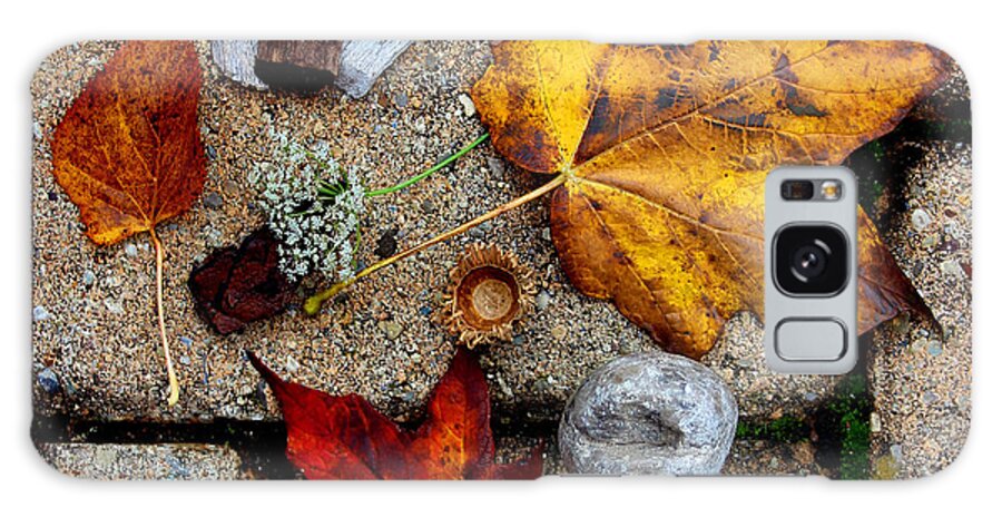 Autumn Galaxy Case featuring the photograph Kayla's Treasures by Karen Adams