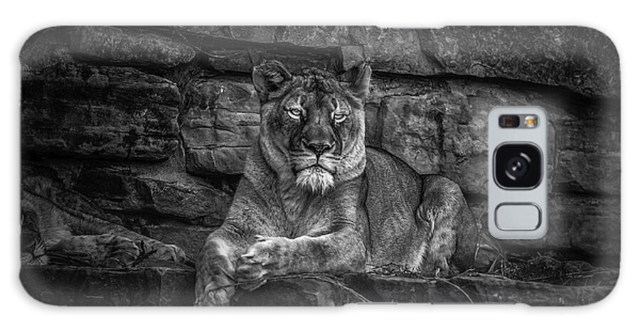 Nature Galaxy Case featuring the photograph Keen Eyed Lioness by Donald Brown