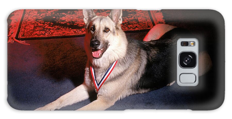 America Galaxy Case featuring the photograph Kelsey The Dog by Paula Lerner
