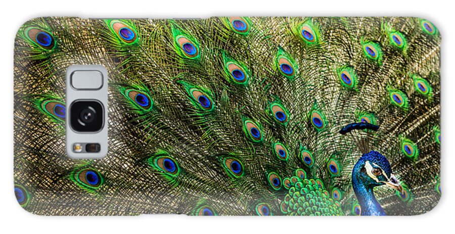 Peacocks Galaxy Case featuring the photograph KING of BIRDS by Karen Wiles
