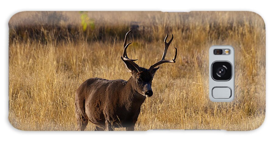 Mule Deer Galaxy Case featuring the photograph King of the Yard by Joshua House