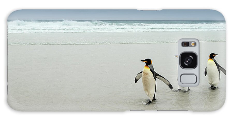 Water's Edge Galaxy Case featuring the photograph King Penguins by Michael Leggero