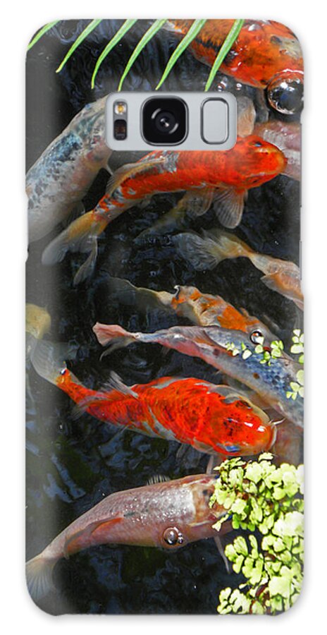 Fish Galaxy Case featuring the photograph Koi Fish I by Elizabeth Hoskinson