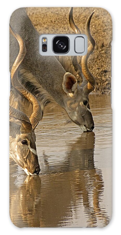 Kudu Galaxy S8 Case featuring the photograph Kudus by Dennis Cox