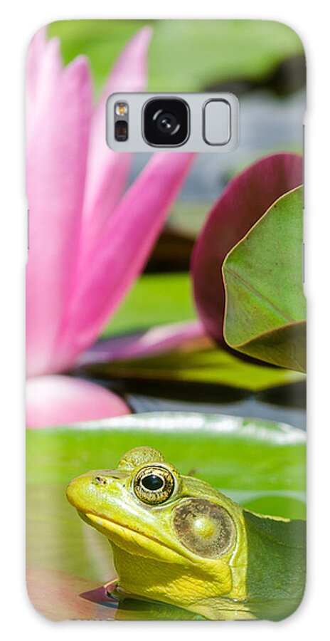 Ladew Gardens Galaxy Case featuring the photograph Ladew Flog by Georgette Grossman