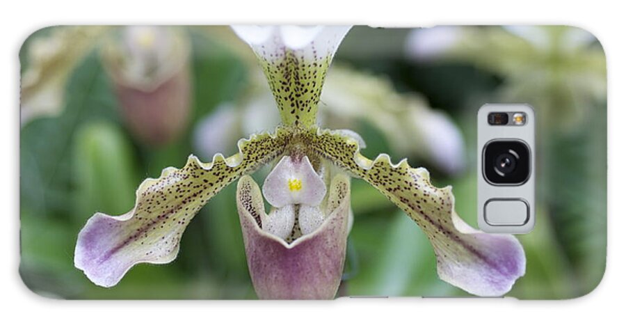 Lady Slipper Orchid Galaxy Case featuring the photograph Lady Slipper by Sue Morris