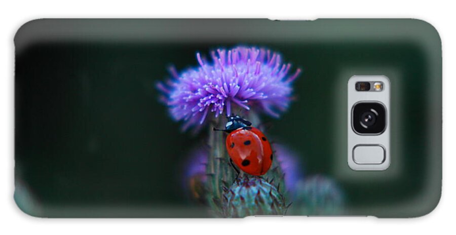 Bug Galaxy Case featuring the photograph Ladybug by Jeff Swan