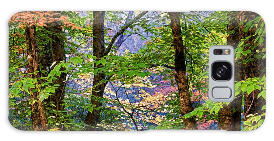Nantahala National Forest Galaxy Case featuring the photograph Land of The Noonday Sun by HH Photography of Florida