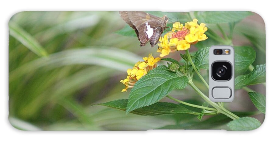 Flora Galaxy Case featuring the photograph Lantana by Bill TALICH
