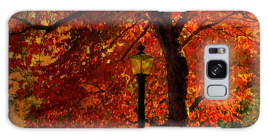 Autumn Galaxy Case featuring the photograph Lantern in autumn by Susanne Van Hulst