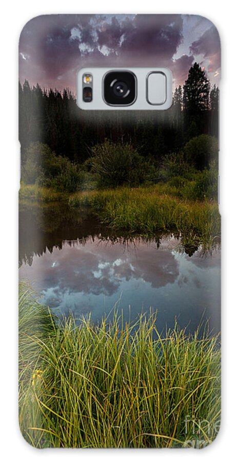 Nature Galaxy Case featuring the photograph Laramie River Sunset by Steven Reed