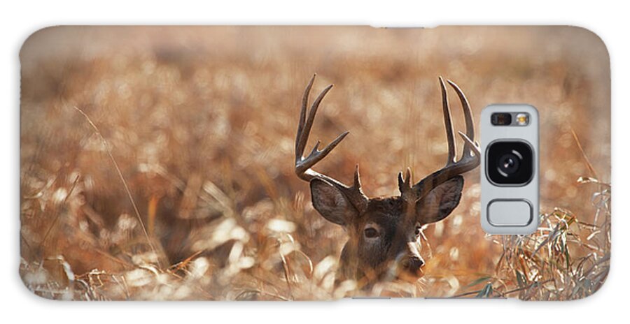 Rutting Galaxy Case featuring the photograph Large Trophy Size Whitetail Buck In by Jimkruger