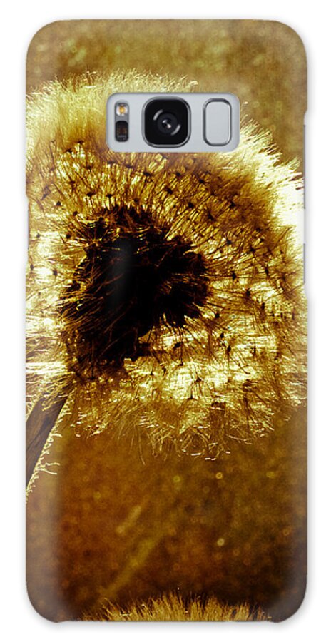 Flowers Galaxy Case featuring the photograph Last light of day by Bob Orsillo
