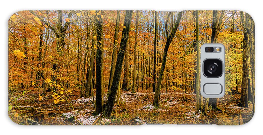 Landscape Galaxy S8 Case featuring the photograph Last of Autumns Color by Louis Dallara