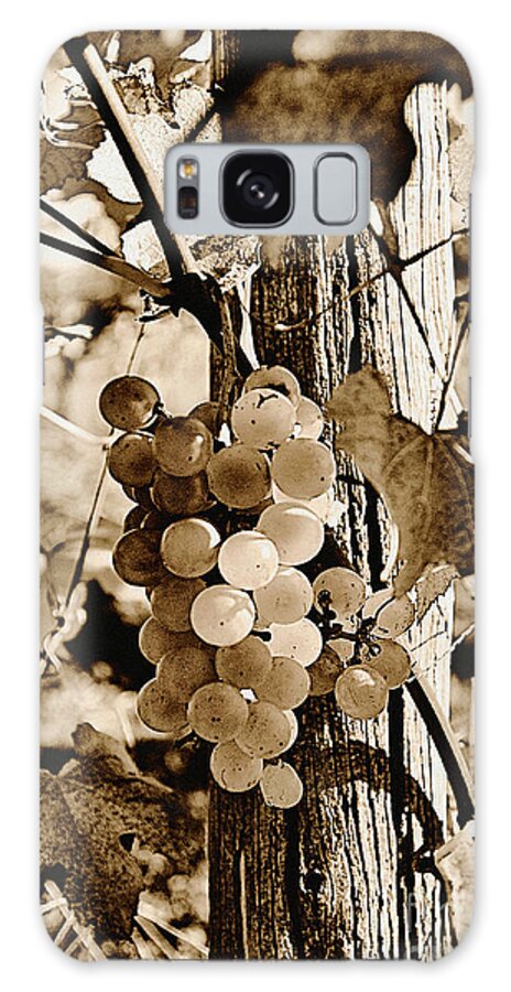 Grapes Galaxy Case featuring the photograph Late Harvest Il by Brett Maniscalco