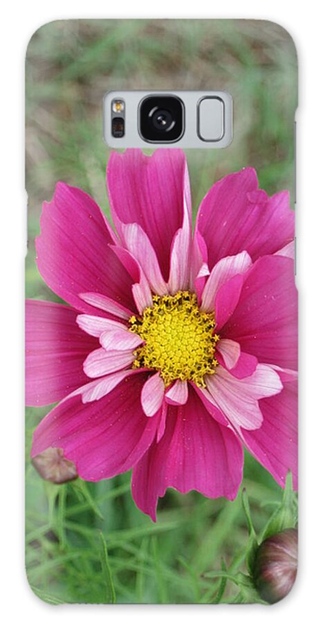 Cosmos Galaxy Case featuring the photograph Lavender Cosmo by Ron Monsour
