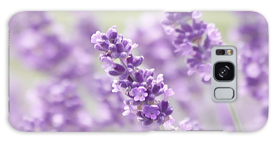 Lavender Galaxy S8 Case featuring the photograph Lavender Dreams by Kim Hojnacki