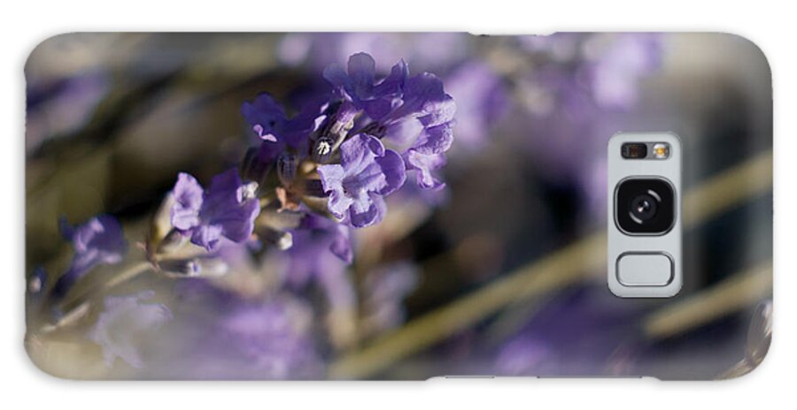 Fresh Galaxy Case featuring the photograph Lavender Flower by Anna Aybetova