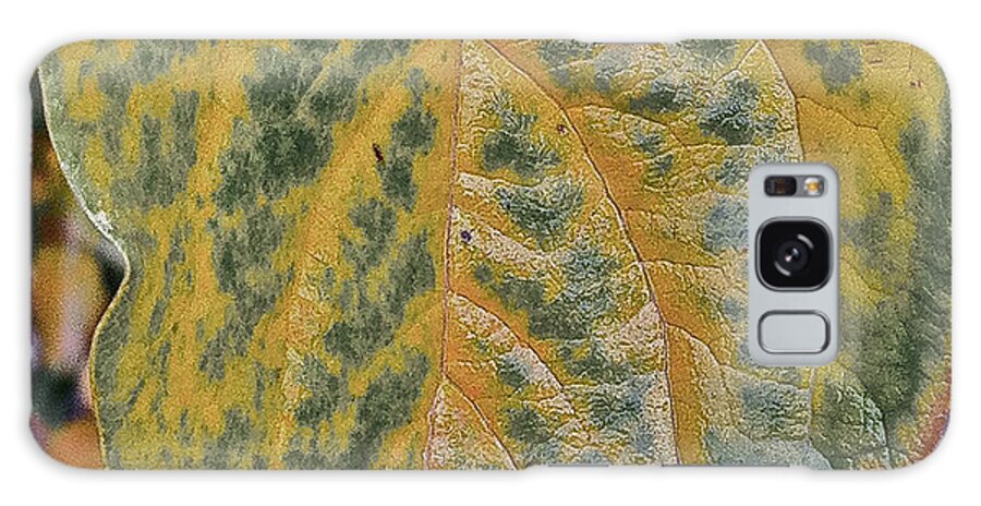 Leaves Galaxy Case featuring the photograph Leaf After Rain by Bill Owen