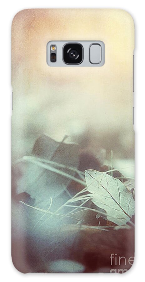 Leaves Galaxy Case featuring the photograph Leaves of Time by Trish Mistric