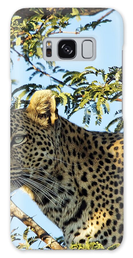 Art Galaxy Case featuring the photograph Leopard Photography by Gigi Ebert