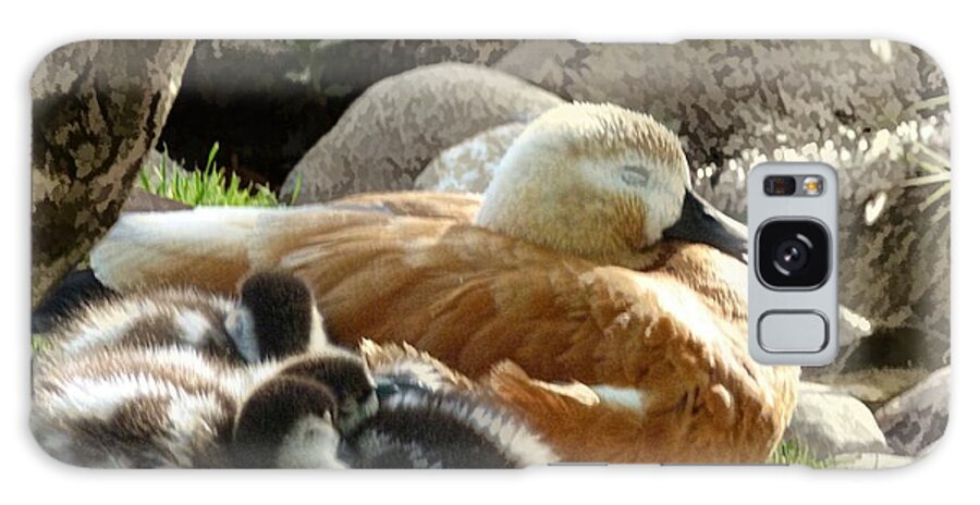 Julia Springer Galaxy Case featuring the photograph Let Sleeping Ducks Lie by Julia Springer