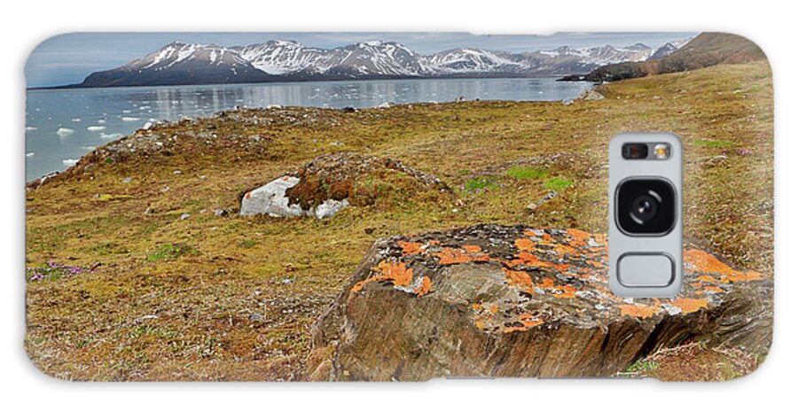 Tranquility Galaxy Case featuring the photograph Lichen Covered Rock 14th July Glacier by Darrell Gulin